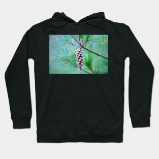 Pine Cone Hoodie